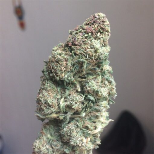 Blue Haze (Indica) - Image 2