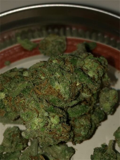 blueberry-skunk__primary_66cc.jpg