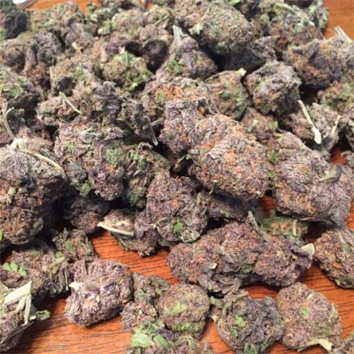 Grand daddy purple