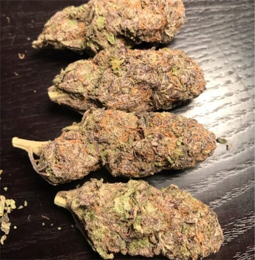 Grand daddy purple - Image 3