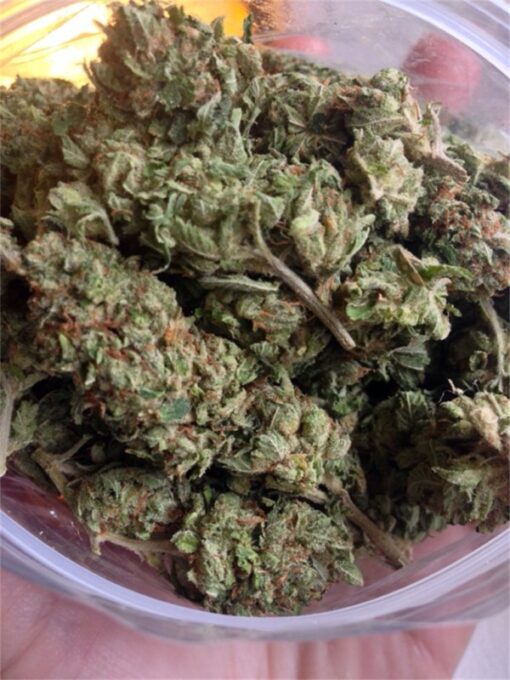 holy-grail-kush__primary_d43e.jpg