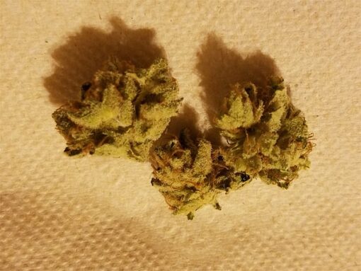 Loud Dream Weed - Image 6