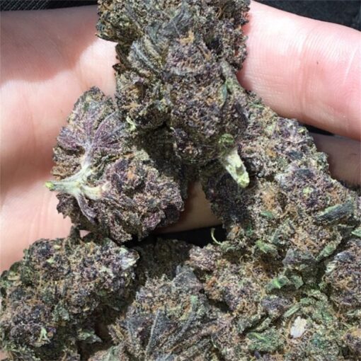 Purple Kush (Indica) - Image 2