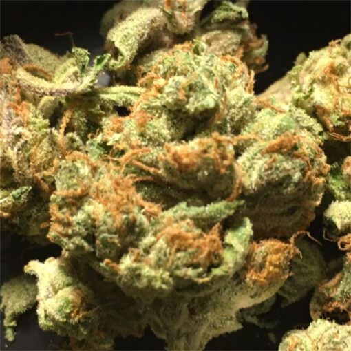 Sour Diesel - Image 3