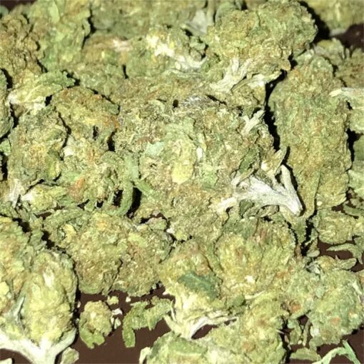 Sour Diesel